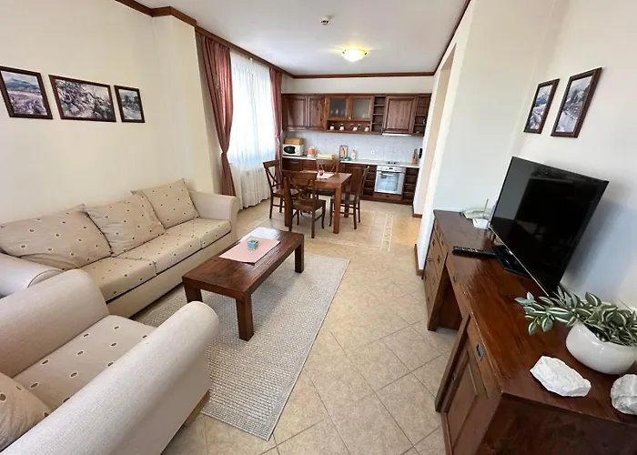 St Ivan Rilski Spacious 公寓 *